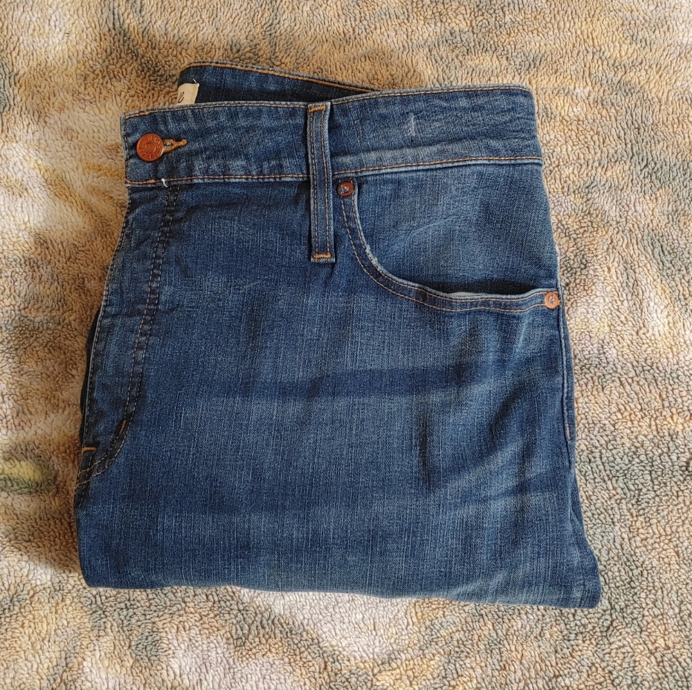 Madewell Curvy High Rise Skinny Jean